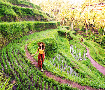Ubud Jungle Swing Tour